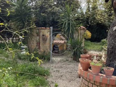 Finca rústica en calle 1