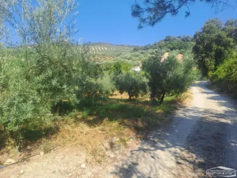 Chalet en calle Huerta de Jarcas, Pol.23, Par.78-79