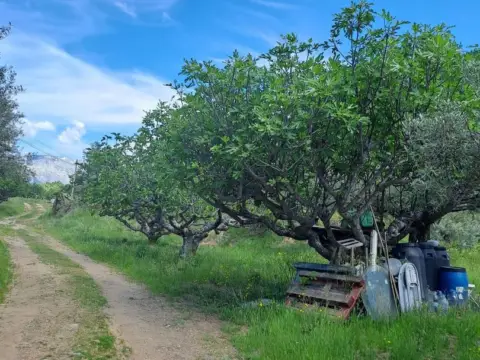 Finca rústica en Carretera de Ramacastañas, 211