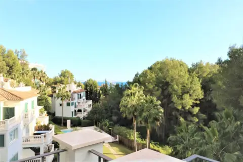 Dúplex en Carrer del Barranc