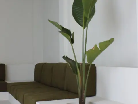 Piso en calle D'oriola, nº 26