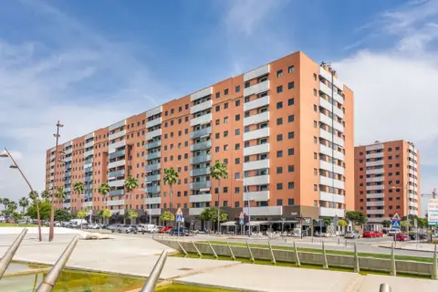 Piso en Avenida Felipe González Márquez