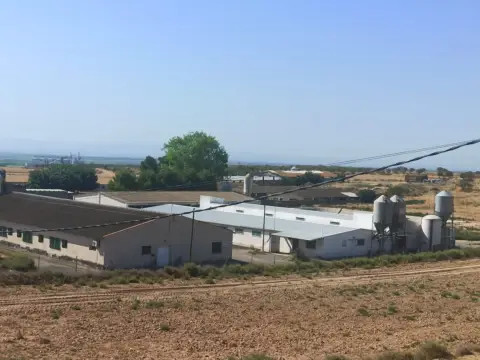 Industrial building in Algerri