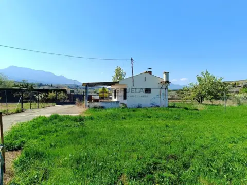 Finca rústica en Camino de Cienta, 358