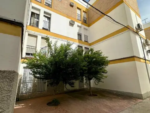 Piso en calle Florentino Bartolomé Zorrilla