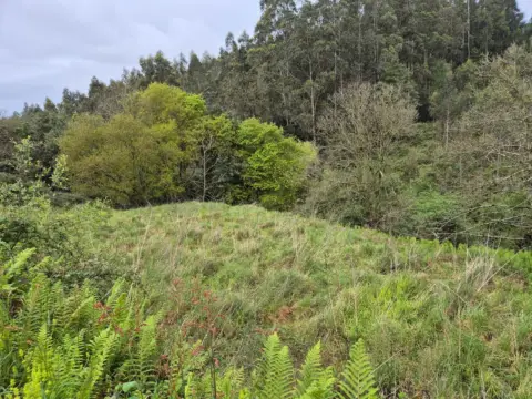 Terreno en Barrio Canto Coyanca, 6