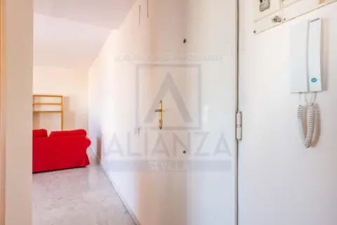 Piso en calle de Martín Ruiz