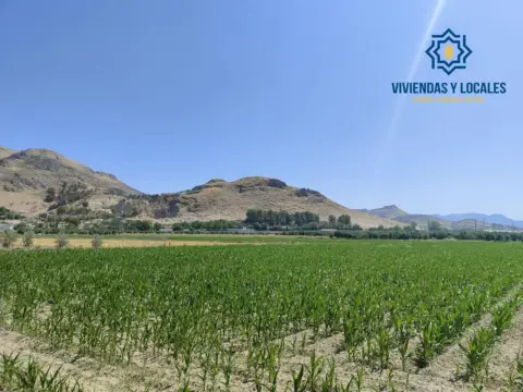 Terreno en Carretera de Pinos Puente