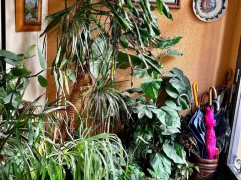 Dúplex en calle Calnuevas