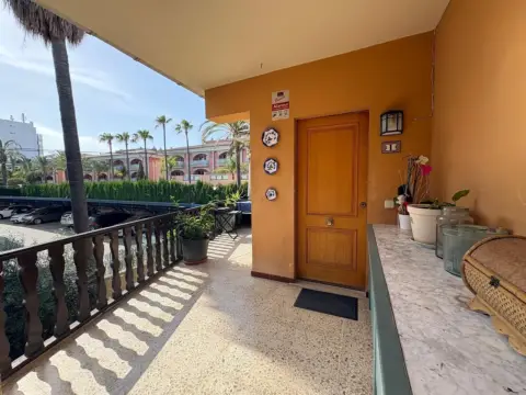Apartamento en Port Dalcúdia - Platja Dalcúdia