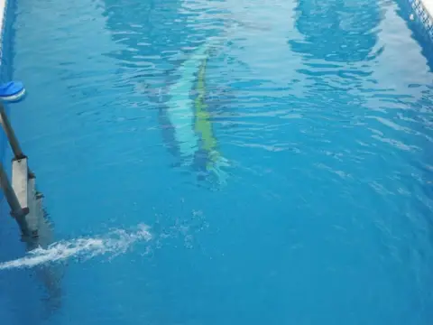 Casa adosada en calle de la Virgen del Valle