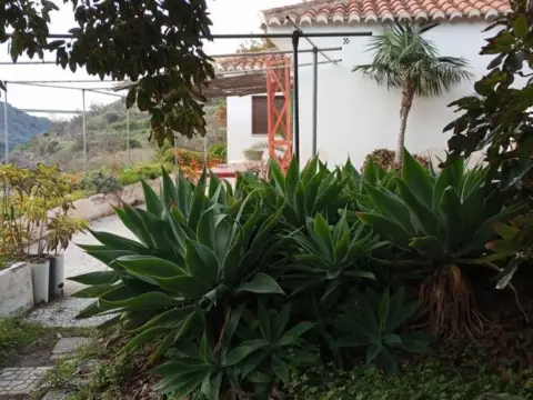 Finca rústica en calle Pago del Cerval