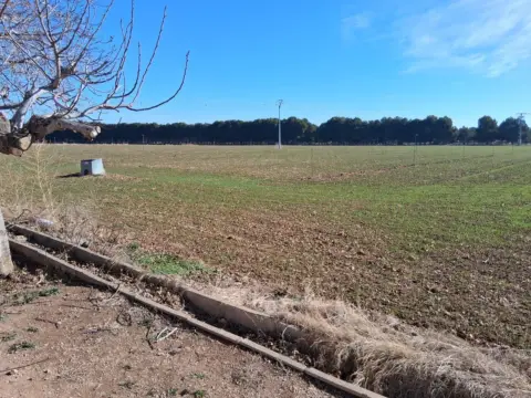Terreno en San Antonio Abad - Polígono San Antón
