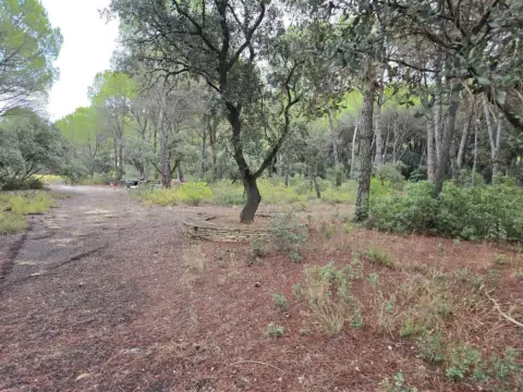 Terreno en Pinares del Júcar