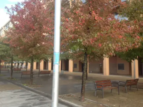 Local comercial en Paseo de Anelier