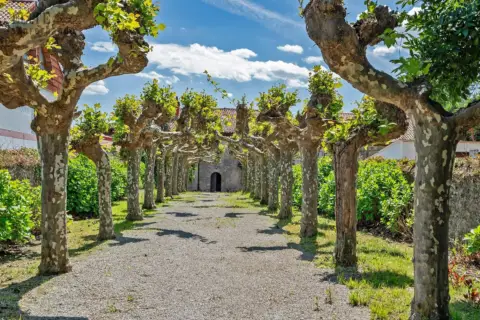 Casa en calle La Cochera