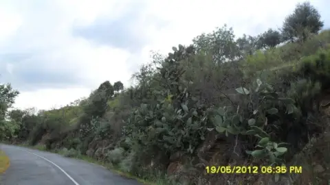 Terreno en Pereña de La Ribera