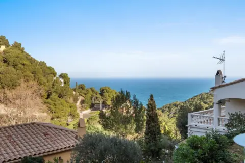 Casa pareada en Carrer de Ses Falguerines, 39