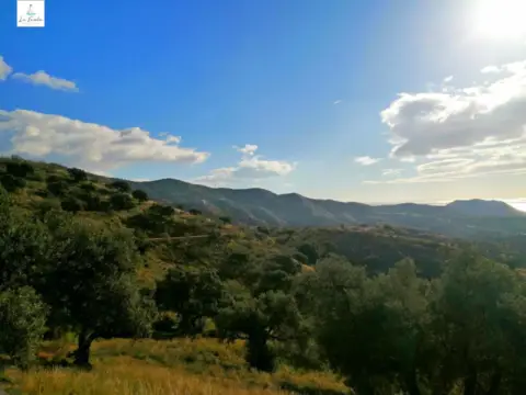 Terreno en Pinares de San Antón