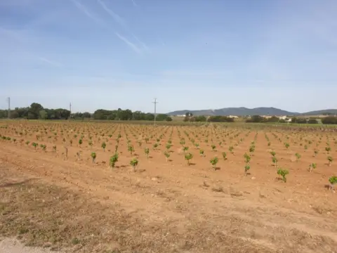 Finca rústica en calle La Bleda