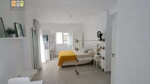 Estudio en Bellas Artes