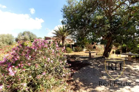 Finca rústica en calle Carrer D'es Cós