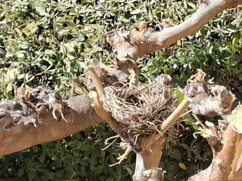 Casa en calle Rio Ebre, nº 15