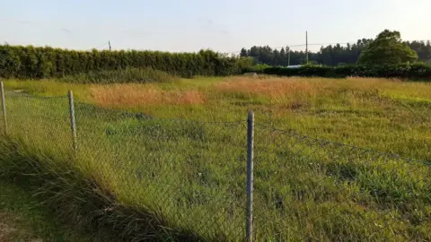 Terreno en calle El Pradón, nº 28