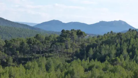 Finca rústica en Font de La Figuera