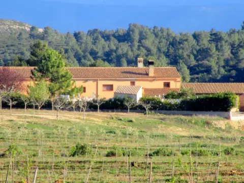 Finca rústica en Mogente