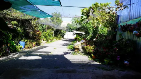 Finca rústica en calle calle Orilla Alta