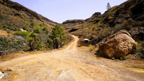 Finca rústica en calle Camino Lomo de Pedro Afonso, 5
