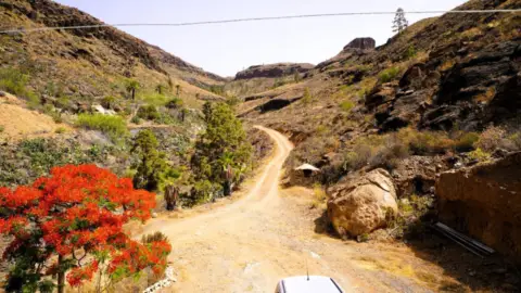 Finca rústica en calle Camino Lomo de Pedro Afonso, 5