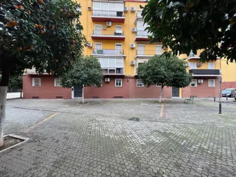 Piso en Plaza Alegre