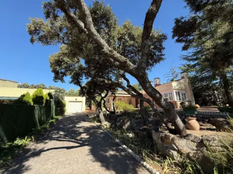 Chalet en calle del Castillo de Butrón