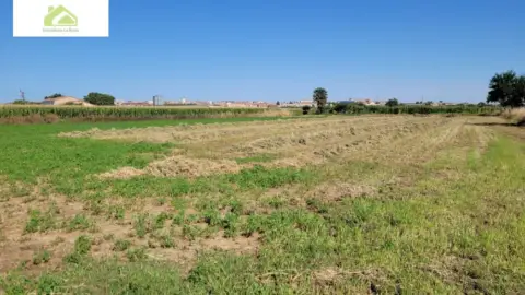 Finca rústica en Pinilla