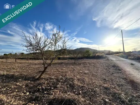 Terreno en Monòver - Monóvar