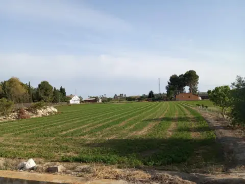 Finca rústica en calle Polígono 4 Parcela 91 La Bodega. Daya Nueva (Alic, nº 4