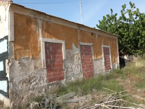 Finca rústica en calle Polígono 4 Parcela 91 La Bodega. Daya Nueva (Alic, nº 4