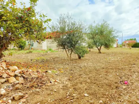 Casa en Alguazas
