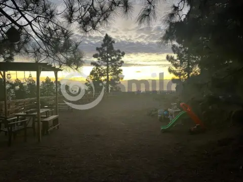 Finca rústica en calle Forestal