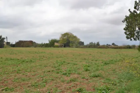Finca rústica en calle 4, Parcela, nº 959