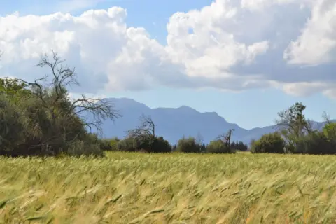 Finca rústica en Afueras de Llubi