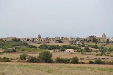 Finca rústica en calle 6 Parcela, nº 621