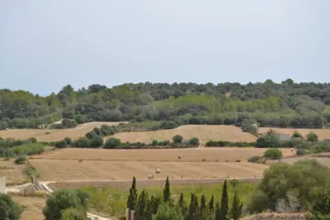 Finca rústica en calle 6 Parcela, nº 621