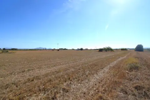 Finca rústica en Muro