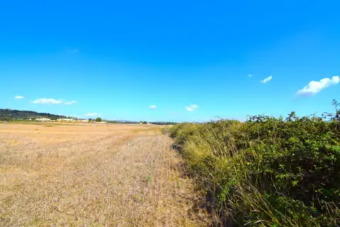 Finca rústica en Muro