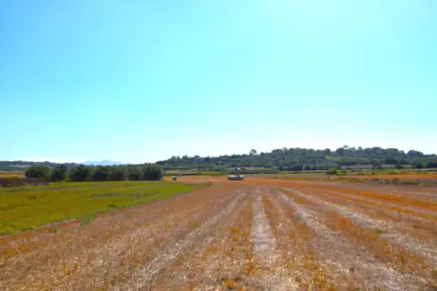 Finca rústica en Muro