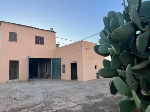 Finca rústica en Muro