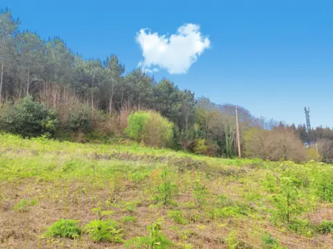 Terreno en calle Cabrois